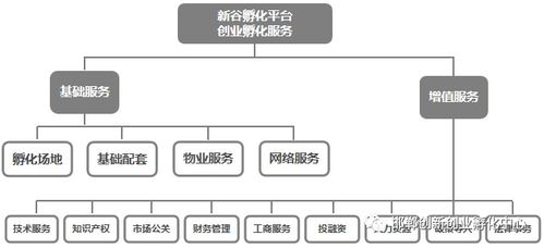 創客如何選擇創業孵化器與管理服務的智慧指南