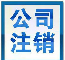 上海網絡服務公司的創新發展與市場價值