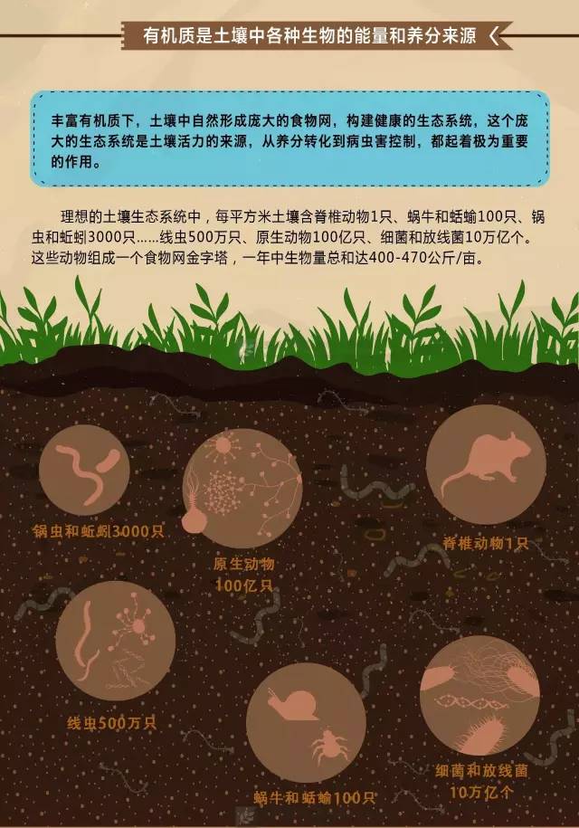 外資助力中國土壤污染治理 以“十三五”規劃為唯一參與路徑