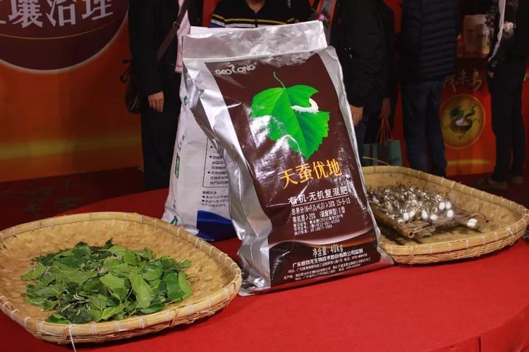 植物龍開(kāi)啟蠶沙改土新紀(jì)元 專家團(tuán)領(lǐng)航土壤治理新賽道